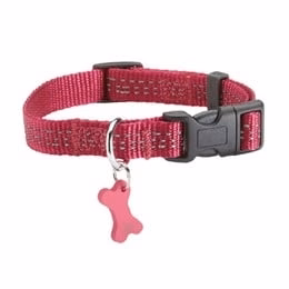 Bobby SAFE collar Fuchsia