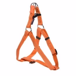 Bobby SAFE harness Orange