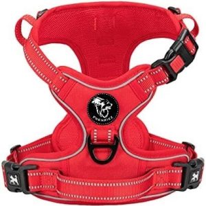 Frenkiez Y tuig dogharness reflective Red ( matching straps )