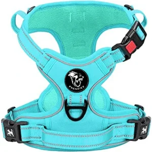 Frenkiez Y tuig dogharness reflective Mint Blue ( matching straps )