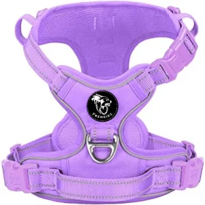 Frenkiez Y tuig dogharness reflective Lila ( matching straps )