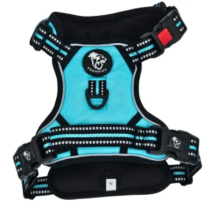 Frenkiez reflective Y tuig no pull dogharness Tiffany Blue
