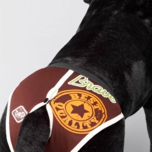 D&D dog pants periodebroekje BRAVE