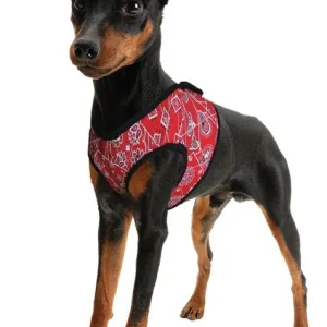 Animal Gear Aqua Coolkeeper Comfy Harness