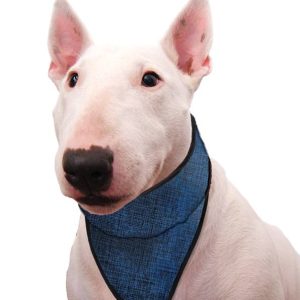 Animal Gear Aqua Coolkeeper Bandana Pacific Blue