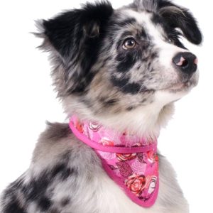 Animal Gear Aqua Coolkeeper Bandana Roses