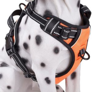 Frenkiez reflective no pull dog harness orange
