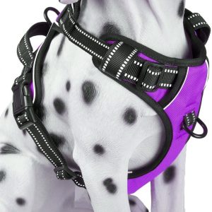 Frenkiez reflective no pull dog harness purple Small