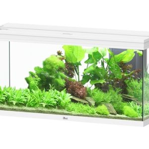 Aquatlantis Splendid 120 Ultra Aquarium