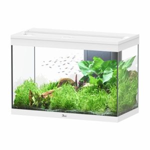 Aquatlantis Splendid 80 Ultra Aquarium