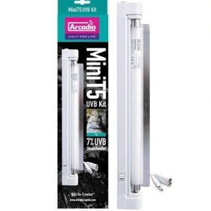 Arcadia T5 Mini 7% UVB 8 Watt