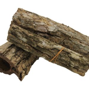 Catappa bark tube