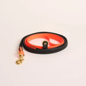 Handsfree hondenriem - Fel Oranje