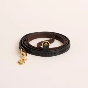 Handsfree hondenriem - Bruin