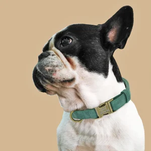 Honden Halsband Leer – Gepersonaliseerd, Stijlvol en Veilig