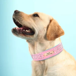 Honden Halsband met Diamantjes – Gepersonaliseerd en Stijlvol