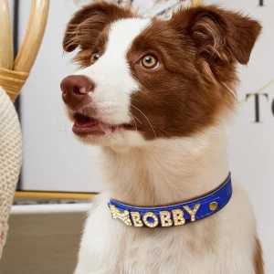 Honden Halsband met Grote Letters – Gepersonaliseerd en Uniek