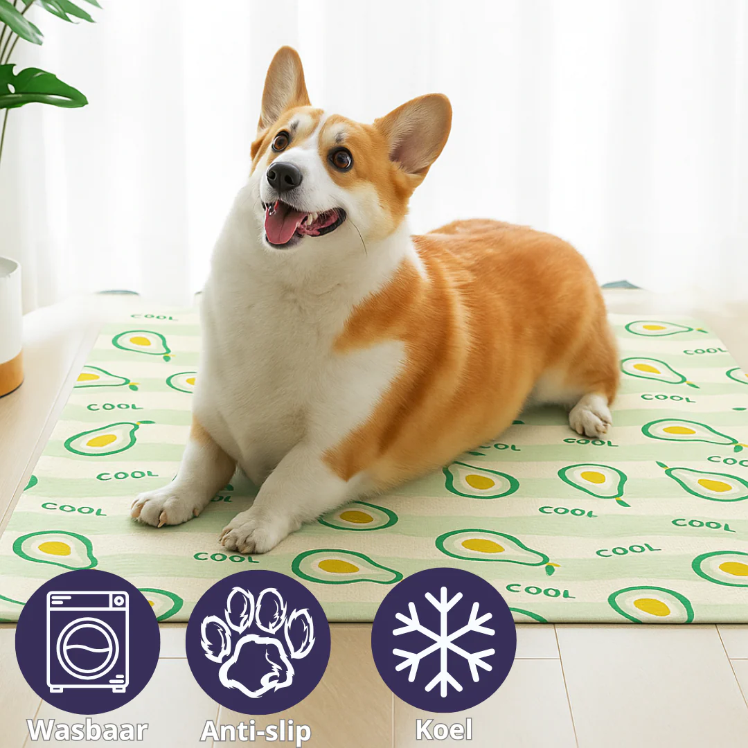 Honden Koelmat - Verkoelend met Vrolijke Fruitprint - Afbeelding 4