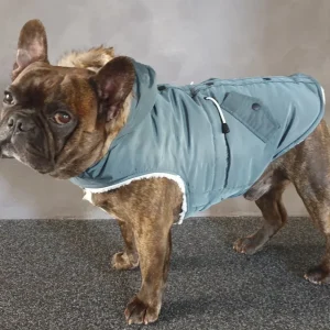 Winterjas kimo groen — 40cm