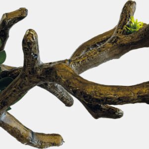 Repto Deco Tak – Kunst Takken Terrarium