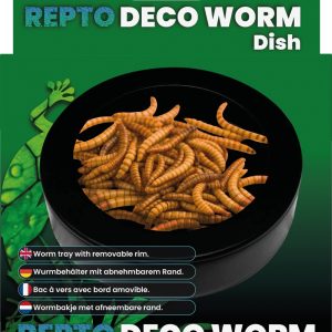 Repto Deco Worm Dish – Meelwormen Voederschaal