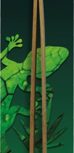 Repto Tweezer Bamboo – Voedseldieren Pincet