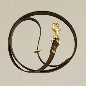 Hippe hondenriem - Bruin