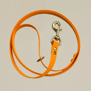 Hippe hondenriem - Oranje