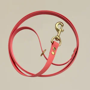 Hippe hondenriem - Roze