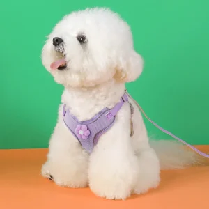 Hondentuig met Bloem – Stijlvol & Comfortabel