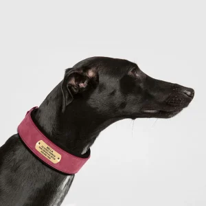 Honden Halsband Leer Breed – Gepersonaliseerd en Extra Comfortabel