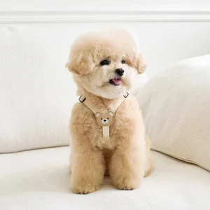 Hondenharnas Beer – Schattig, Comfortabel & Speels