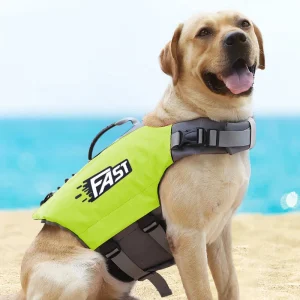 Honden Reddingsvest – Veilig & Comfortabel voor Wateravonturen
