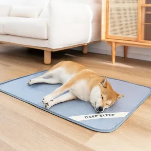 Hondenkoelmat – Comfortabel, Ademend & Verkoelend