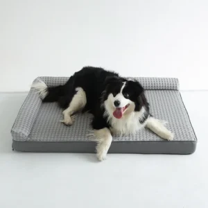 Hondenmand met Koeling – Afneembaar, Wasbaar & Verfrissend Comfort