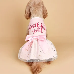 Hond Birthday Girl Jurk – Feestelijke Look voor een Speciale Dag