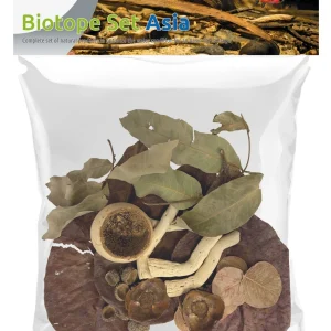 SuperFish Biotope Set Azie- Azie Aquariumbiotoop Decoratie set