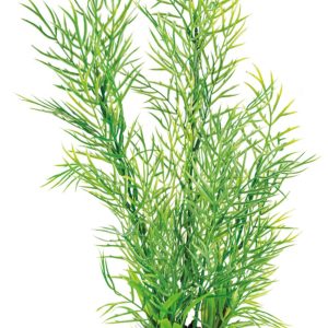 Superfish Art plant Ceratopteris XL