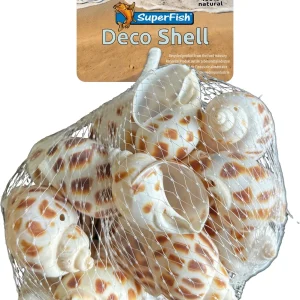 Superfish Decoratie schelpen Bruin Wit – Slakkenhuizen