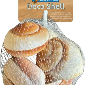 Superfish Decoratie schelpen Gestreept XL – Heremietkreeft Huis XL