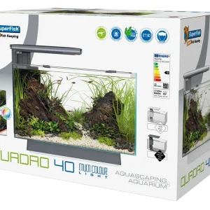 Superfish Quadro 40 Multi Colour