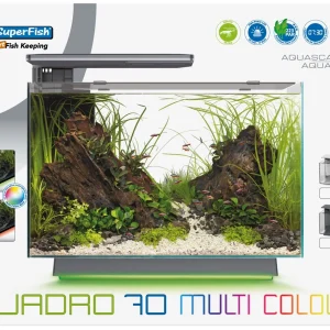 Superfish Quadro 70 Multi Colour
