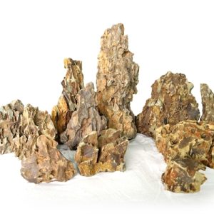 Wabi Kusa Dragon Rock