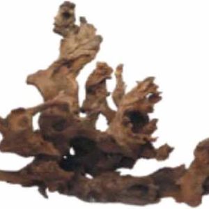 Wabi Kusa Drift Wood