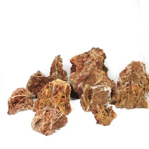 Wabi Kusa Maple Leaf Rock