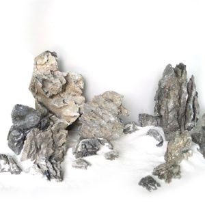 Wabi Kusa Mini Landscape