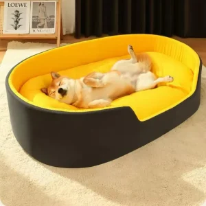 Honden Koelmand - Comfort & Verkoeling in Zomer