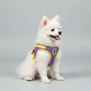 Hondentuig Kleurrijk – Comfort & Stijl