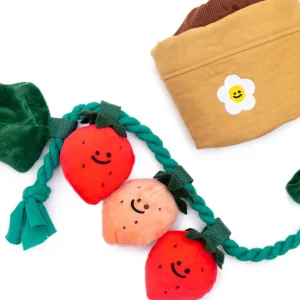 Aardbei Snuffel Speelgoed voor Honden