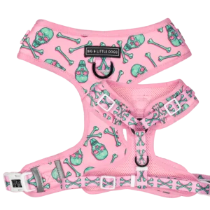 Big and Little Dogs  Adjustable Skull and Bones